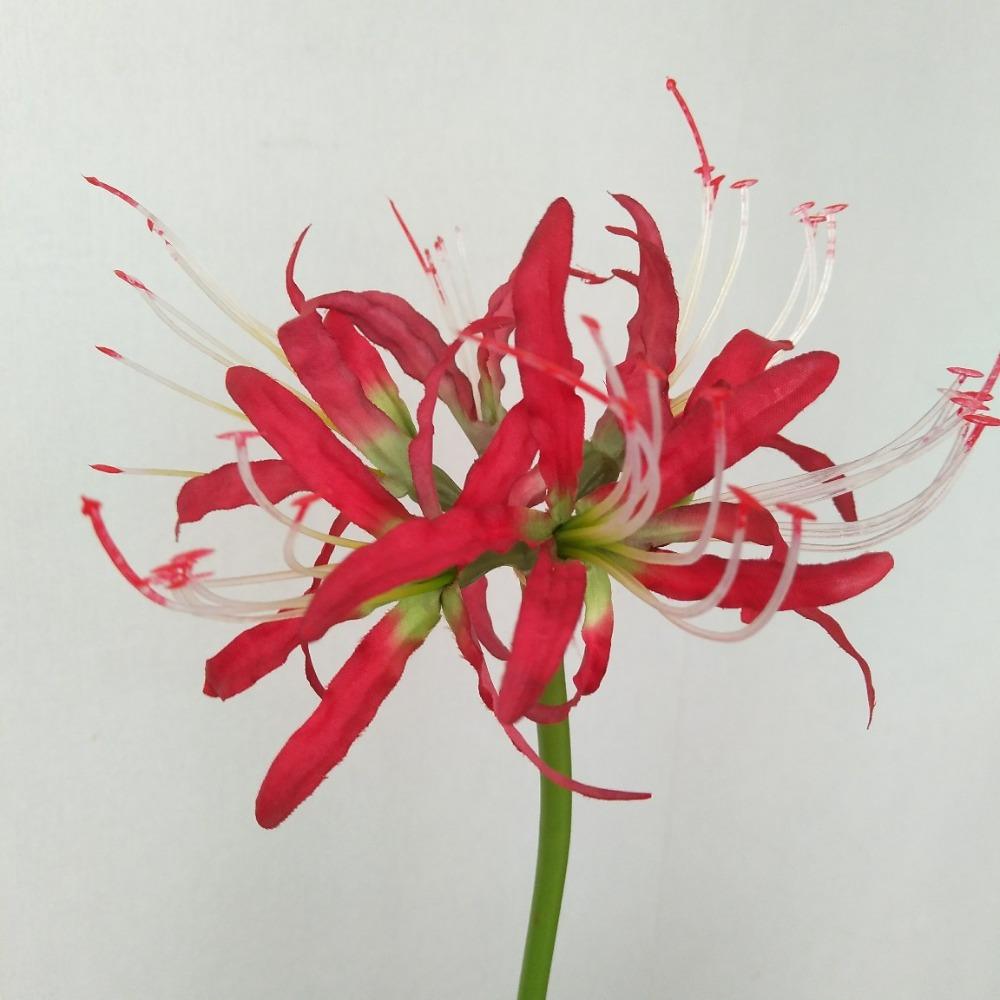 Паучьи лилии, искусственные цветы, шелковый псевдоликорис, букет, имитация Маньчжушахуа, домашний декор