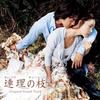 CD SOUNDTRACK, YOON HYUN-YUL, SHIN SEU - Renri No Eda Original Soundtrack (w PCCA02241 Japan Movies & DVD Used