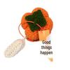 Wool Knit Keychain with Persimmon and Peanut Pendants - Souvenir Gift Box Accessories