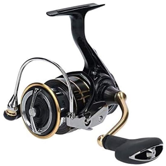 DAIWA Spinning Reel 19 Ballistic LT3000 (2019 Model)