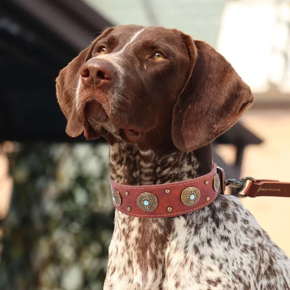 Изысканный ошейник для питомца Регулируемое ожерелье для щенка Кожаный ошейник для собаки Средняя Крупная собака