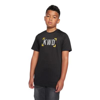 Футболка для мальчиков Kings Will Dream Karson