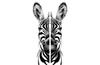 2x GLASS PROTECTIVE PLATE FOR STOVE 40x52 ZEBRA