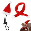 Lizard Hat Decor Crawling Pet Decorative Costume Bearded Dragon ?Supplies Adjustable Hat and Scarf