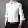 Spring and Autumn New Men's Mulberry Silk Light Business Formal Shirt Men's Casual Long-sleeved Men's Shirt