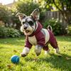 Waterproof Padded Dog Jacket Windproof Dog Four Legged Clothes Stylish Winter Dog Clothes  Outdoor