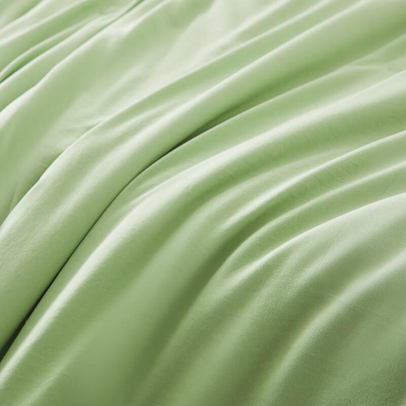 Langsha All-Season Polyester Quilt