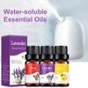 Water Soluble Aromatherapy Essential Oil Liquid for Humidifier Aroma Diffuser Auto Air Freshener Plant Fragrance Oils Perfume