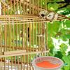 Cotton Rope Woven Bird Nest Small Parrot Breeding Hatching House Cage Hut Cave for Budgie Cockatiel Lovebird Warm Safe Nesting