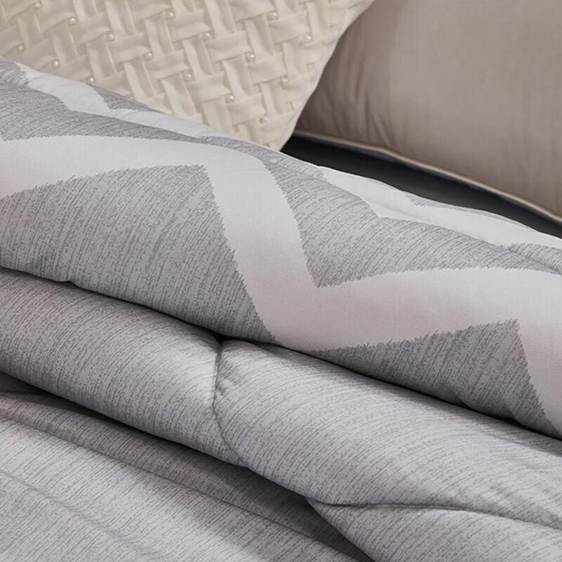 Mercury Home Elegant Negative Ion Antibacterial Winter Quilt