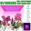 2000W/3000W LED Grow Light Panel Full Spectrum Phyto Lamp AC85-240V For Indoor Grow Tent Plants Growth Light