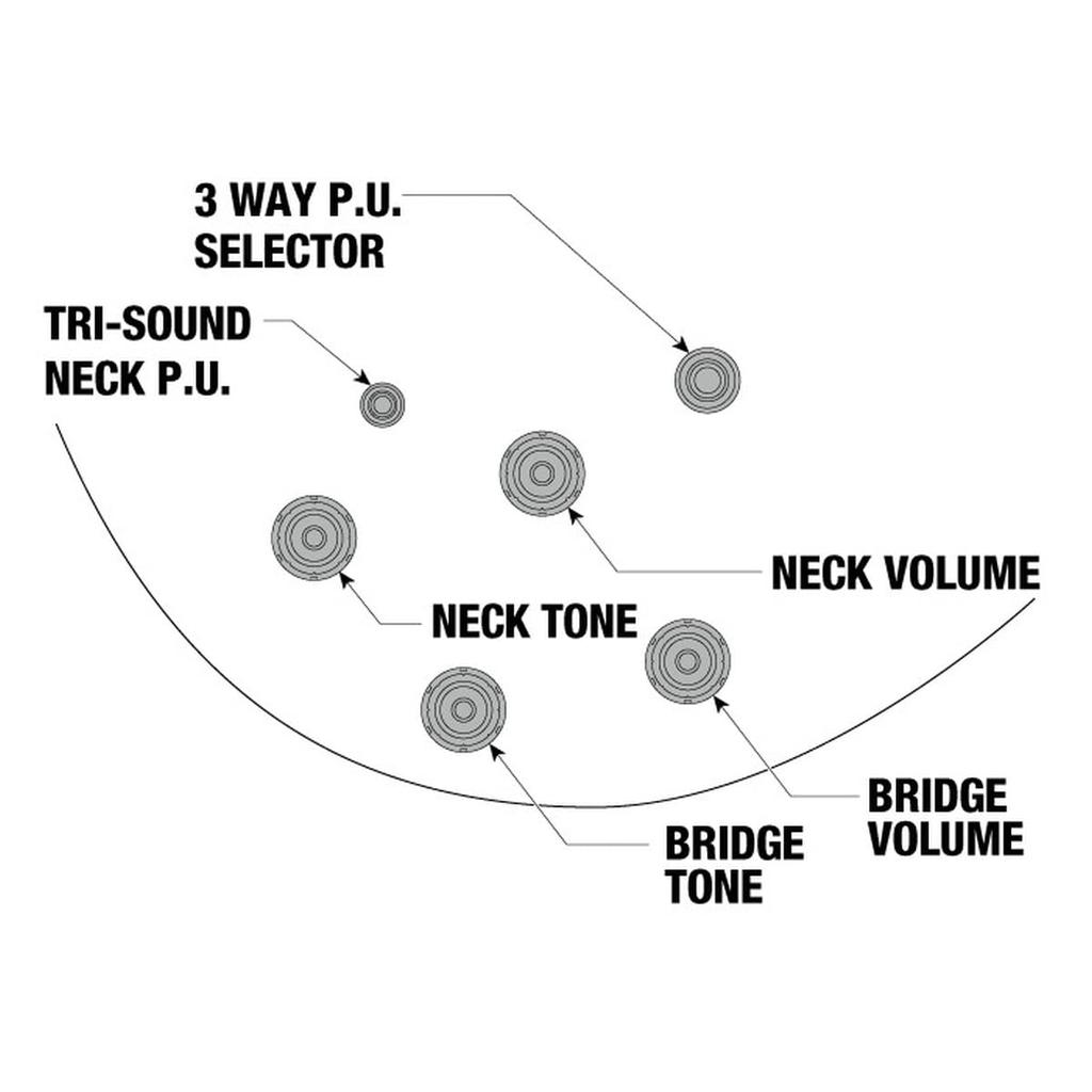 Ibanez/John Scofield Signature Model JSM10-VYS Vintage Yellow Sunburst (VYS)