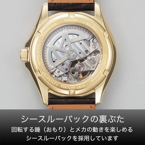 Citizen КОЛЛЕКЦИЯ NP1013-02P Мужские часы