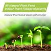 Fast Rooting Powder Plant Nutrient Fertilizers Fruit Tree Food Improve Flowering Survival Rate Healthy Rooting Powder