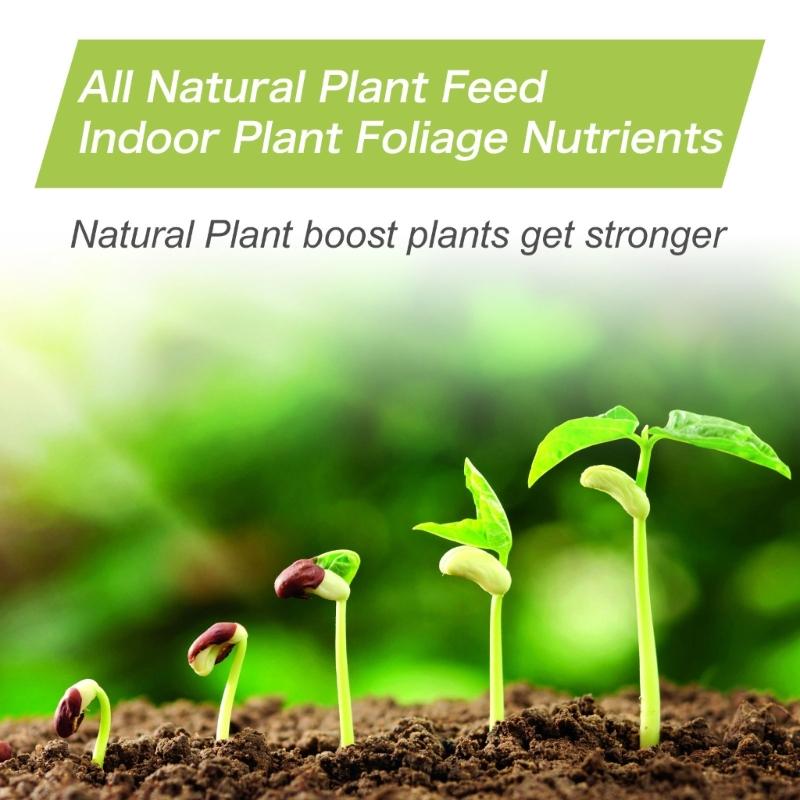 Fast Rooting Powder Plant Nutrient Fertilizers Fruit Tree Food Improve Flowering Survival Rate Healthy Rooting Powder