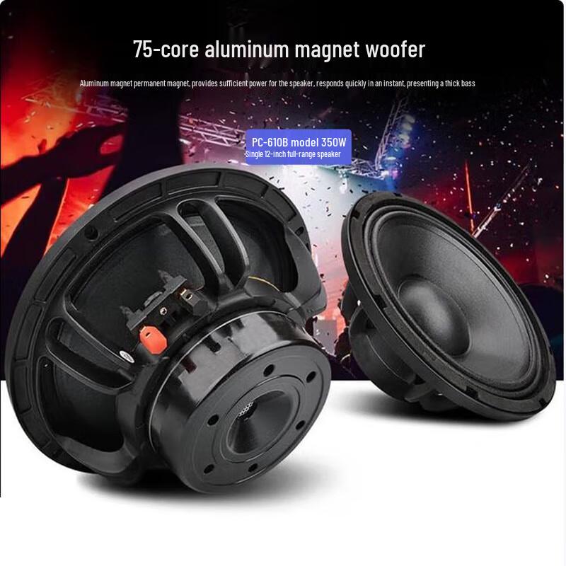 Weishu 12-дюймовый профессиональный пассивный динамик