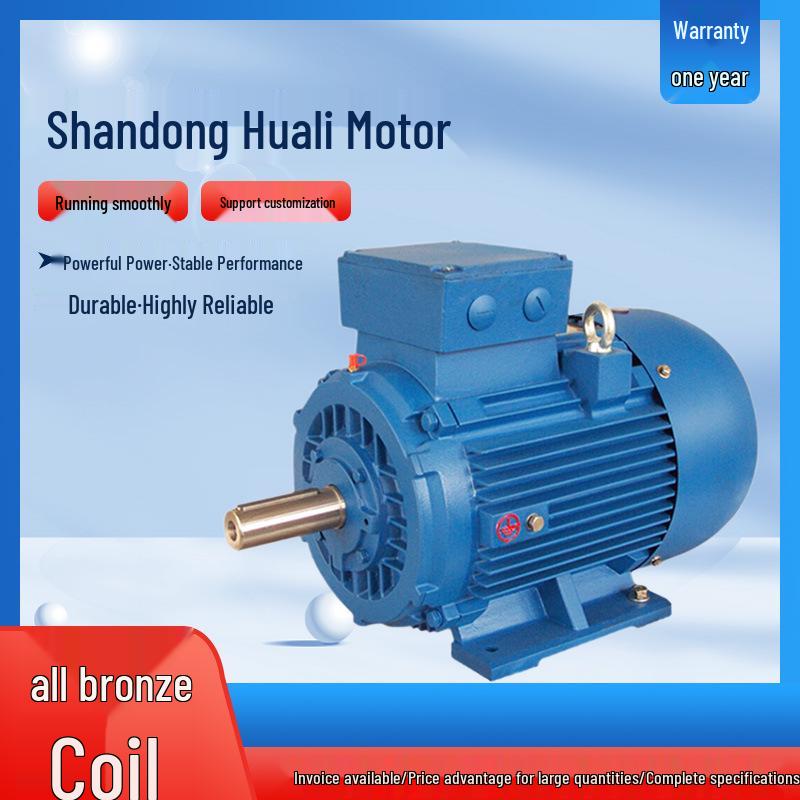 Shandong Huali 1L Series Three-Phase 22kW/30kW Asynchronous Motor with Full Copper Coil