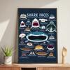 Whale and Shark Seashells Turtles Octopus Fish Marine Life Ocean Animals Poster and Print Canvas Painting  Wall Art Home Living Room