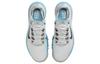 Nike Тайгер Вудс Tw '13 Ретро Синяя Молния DR5752-001