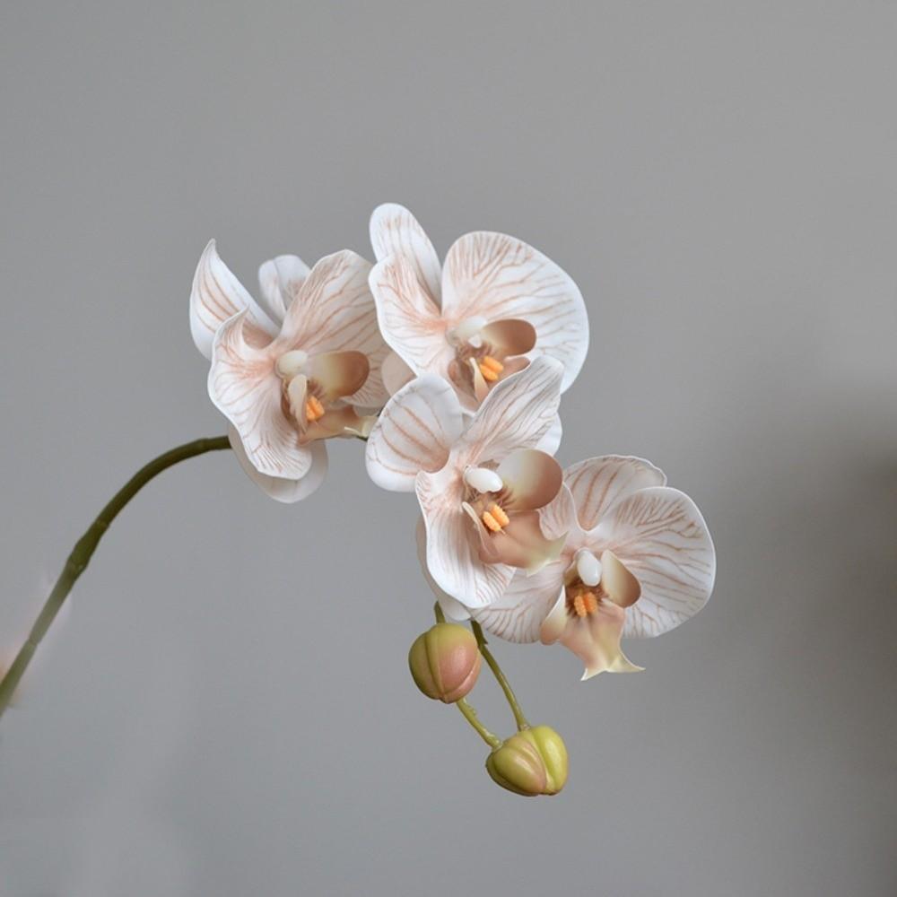 Single Branch Simulation Butterfly Orchid Moth Orchid Plastic Flower Bouquet  Home Decor