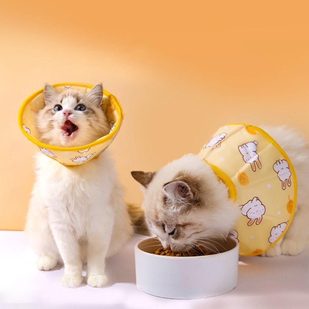 Cartoon Pet Elizabeth Collar Soft Pet Accessories New Cat Protection Collar Cat
