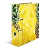 Herma Fruits Motif File A4 (Pineapple)