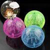 Pet Supply Rodent Mice Jogging Hamster Gerbil Rat Toy Exercise Ball