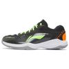 Li Ning Thunder Series Training Durable Non-Slip Breathable Low-Top Badminton Shoes Unisex Shoes Black AYTS024-3