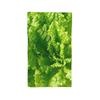 Lettuce closeup Soft Face Towel Quick Dry Pool Bath Cotton Towels Breathable