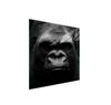 Glass Stovetop Protector 50x52 Gorilla