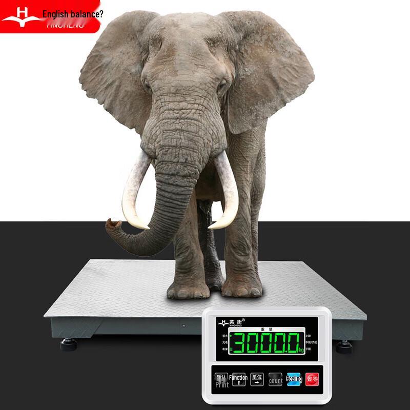 Yingheng Electronic Platform Scale with Fence