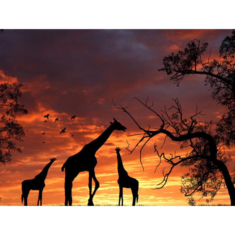 Diamond Painting Dandelion Full Square Mosaic Art Sunset Diamond Embroidery Landscape Picture of Rhinestone Home Decor