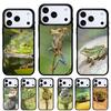 Чехол для телефона 'Зеленая лягушка' Wildlife для iPhone 17 16 15 14 13 Pro Max Задняя крышка для 12 11 Pro Coque