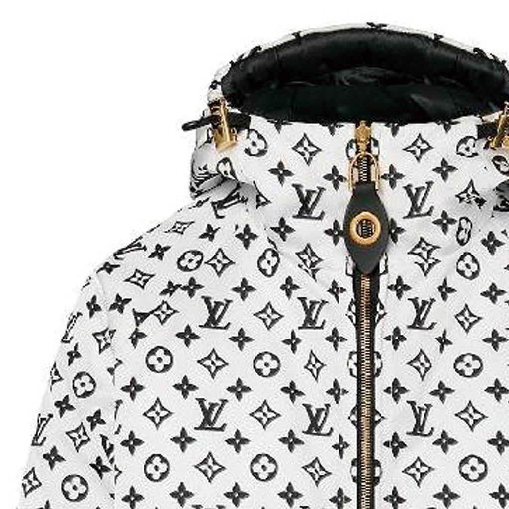 Louis Vuitton Двусторонняя нейлоновая куртка с капюшоном в полоску 1ABR9A