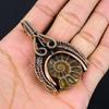 Amazing Ammonite Fossil Gemstone Handmade Pure Copper Wire Wrapped Pendant Jewelry