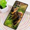Чехол для телефона из коричневого ТПУ с изображением дикого кабана для Samsung Galaxy note 10 pro S26 S25 S24 S23 S22 Ultra Plus S21 FE S20 Ударопрочный чехол