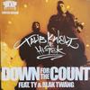 12-дюймовая пластинка TALIB KWELI HITEK Down For The Count RWK308T Rawkus 2001 UK Rap HipHopRB Б/у
