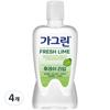 Ополаскиватель для рта Gagreen Fresh Lime, 380 мл, 4 шт.