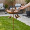 Standing Bowl Iron Bird Bath Feeder 5 Claw Ground Plug Bird Water Drinker  Lawn Backyard