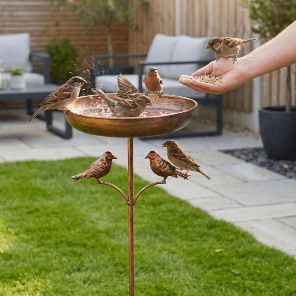 Standing Bowl Iron Bird Bath Feeder 5 Claw Ground Plug Bird Water Drinker  Lawn Backyard