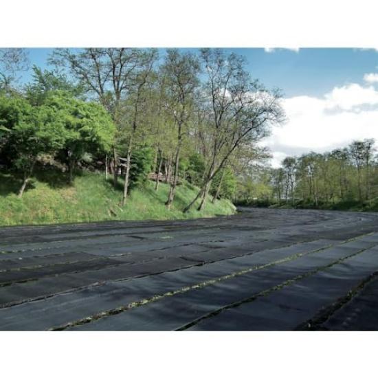 TRUSCO Shade Shading Net, 65% Rate, 4x6m, TSN65-46