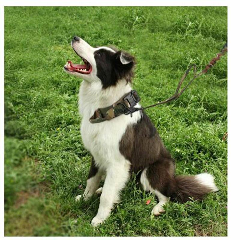 3 Colors Military Tactical Pet Collar Nylon Luxury Pet Training Dog Collar for Medium and Large Dogs