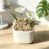 Small Glass Flower Ornament Miniature Figurine Hand Blown Mini Bouquet In Desktop Decor Pot Collectible Blooming for Home Indoor Table