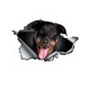 Beauceron Car Stickers Scratch Blocking Self-Adhesive Waterproof Decal, Used for Car, Laptop, Motorcycle, Van, RV