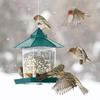 1 Set Bird Feeder Easy To Install Large Capacity Convenient Transparent House Shape Bird Hanging Food Container Home Supplies