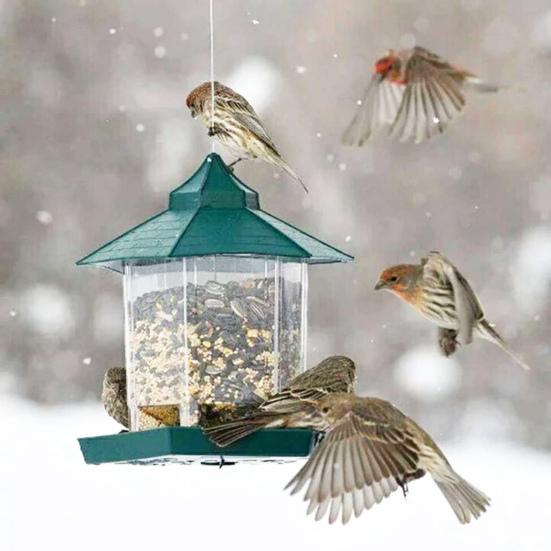 1 Set Bird Feeder Easy To Install Large Capacity Convenient Transparent House Shape Bird Hanging Food Container Home Supplies