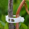 Garden Plant Tomato Vine Pepper Support Clip Plastic Hanging Farming