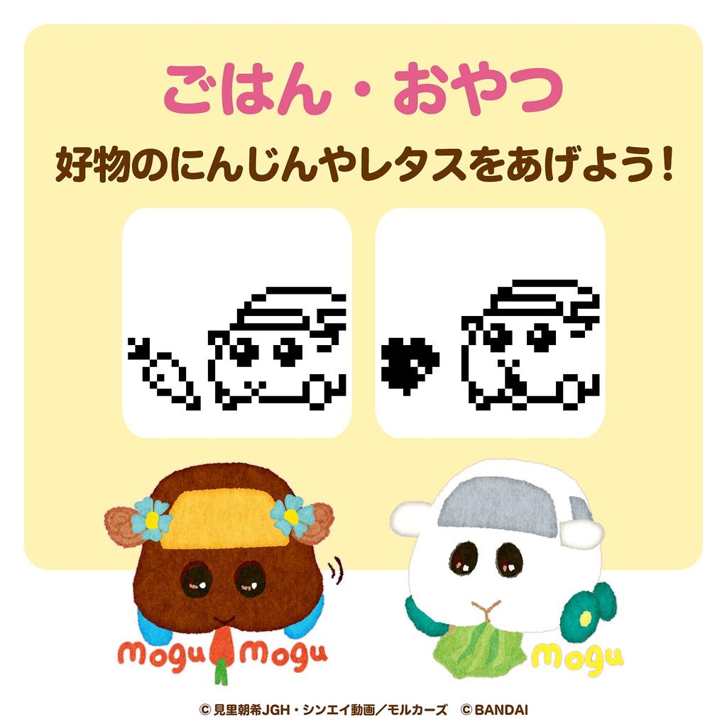 PUI PUI Molkacchi Оранжевого цвета