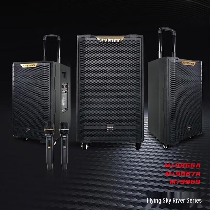 Malata Portable Outdoor KTV Trolley Speaker CN plug (adapter included)