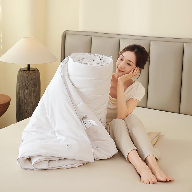 Hong Shi Luxury Blended Winter Quilt